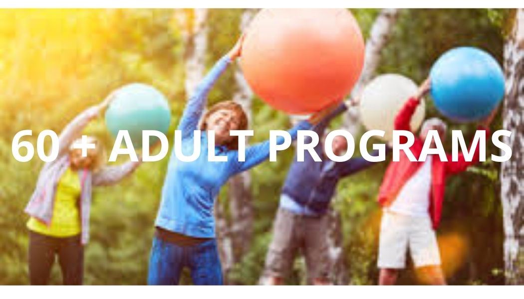 60 plus program - web